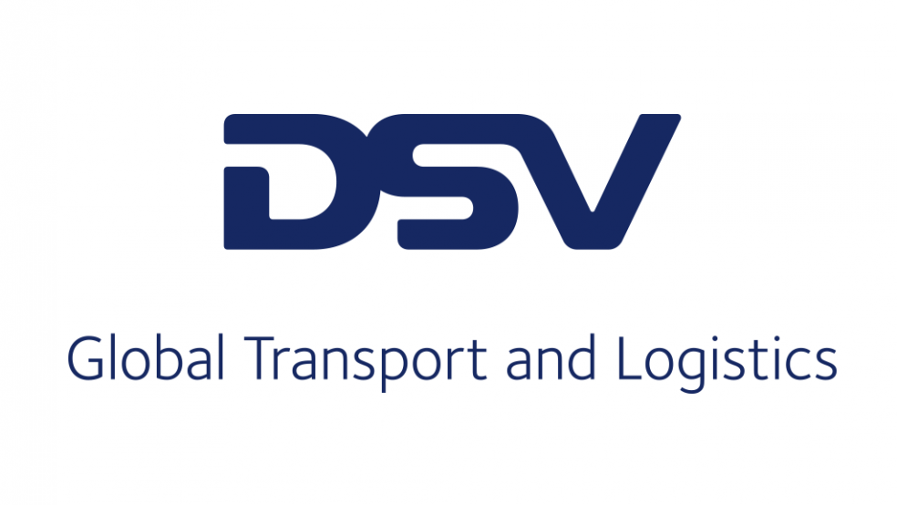 dsv logo