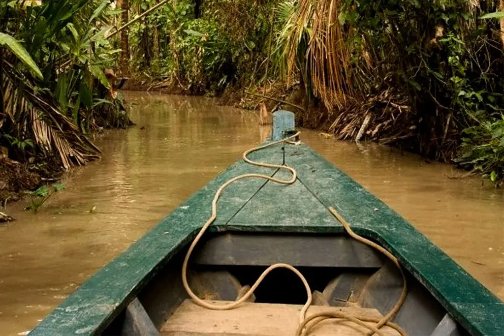 Green boat on river in forest